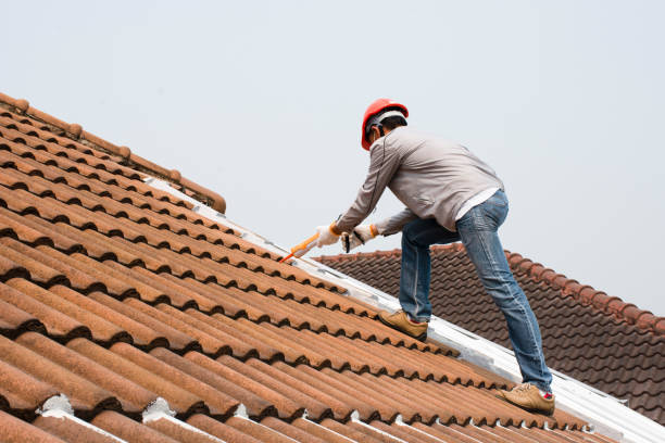 Best Sheet Metal Roofing  in Grayvle, IL